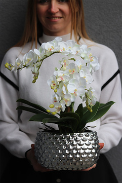 OD RĘKI Silver Route, sztuczny storczyk w lustrzanej donicy, wys.41cm