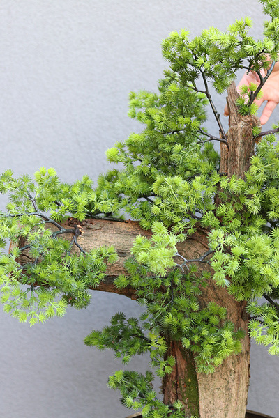 Bonsai Hand Made Gold, sztuczna roślina w złotej doniczce, wys.110cm