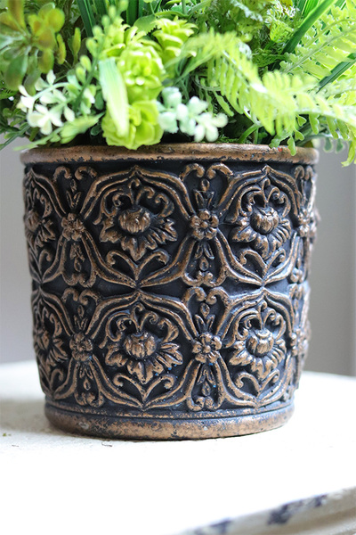 Ferade, sukulenty w nowoczesnej donicy