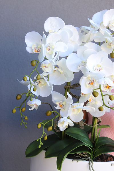 Manfredo Cream, sztuczny storczyk w białej donicy, wys.60cm