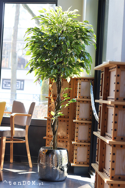 Fikus Benjamin C Deluxe, sztuczna roślina w donicy, wys.190cm