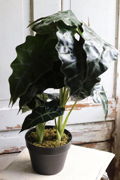 Filodendron, sztuczna roślina doniczkowa, wys.62cm