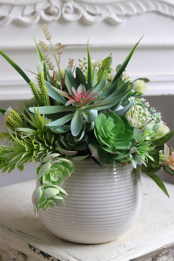 Zieleń Dekoriet, sukulenty w nowoczesnej donicy
