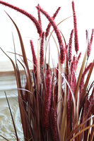 Trawy Red Boho, dekoracja w koszu