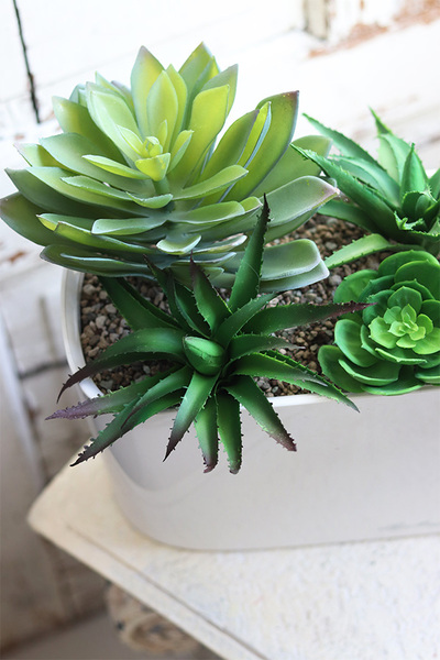 Lechuza Simple, minimalistyczna kompozycja z sukulentów w eleganckiej donicy, wym.28x40cm 