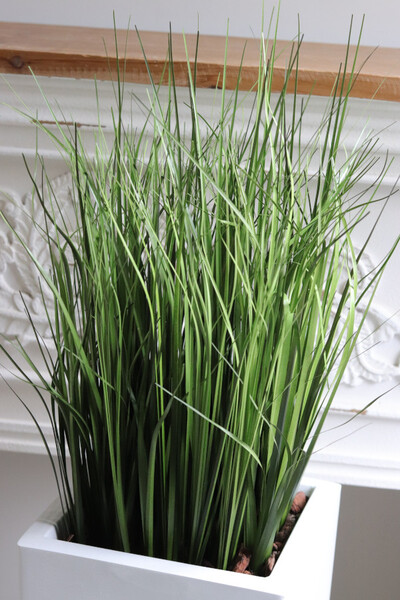 Fiberglass White, sztuczne trawy w eleganckiej donicy