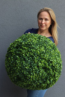 kula bukszpanowa / sztuczny bukszpan, śr.50cm 