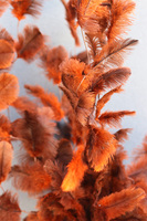 Rudy Piórpusz Moderno, kompozycja w metalowej donicy