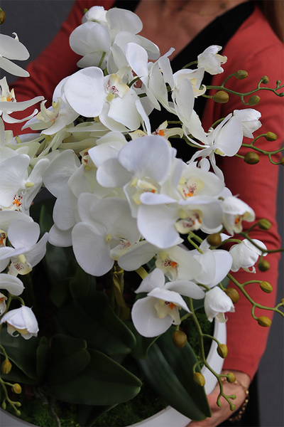 Cecile White Big, efektowny storczyk w szklanej misie