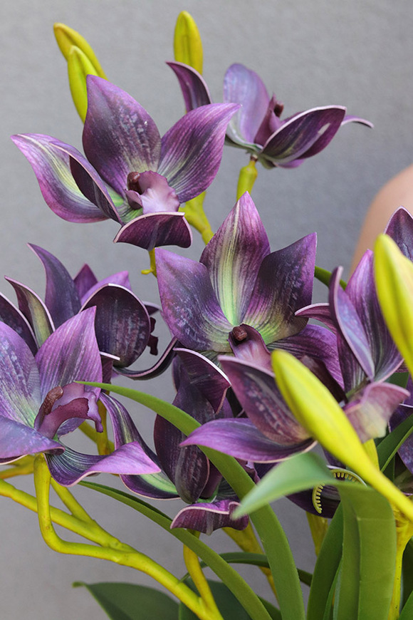  Goldenario Harlow 3, gumowy storczyk w złotej donicy