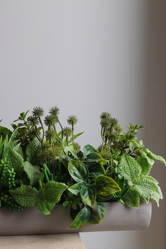 Hektor Modenato 2, kompozycja sukulenty w długiej donicy