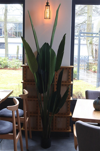 Bananowiec, sztuczne drzewko w osłonce donicy