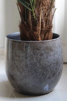 Magellania Earth, sztuczna palma w ozdobnej donicy