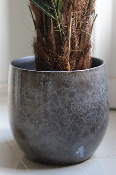 Magellania Earth, sztuczna palma w ozdobnej donicy