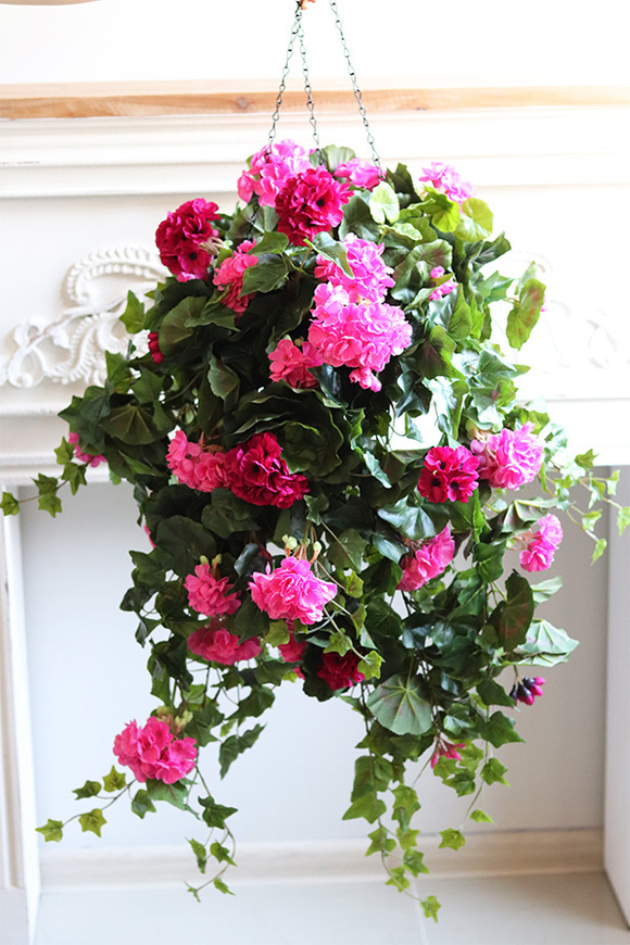 Pelargonia Pink, kwiaty w wiszącej donicy