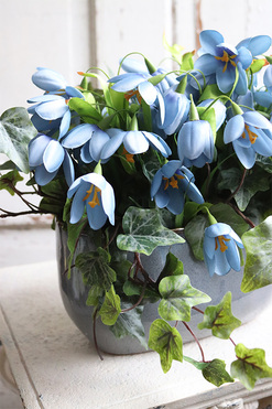 Krokusy Blue, kompozycja wiosenna z niebieskich kwiatów, wym.26x47cm