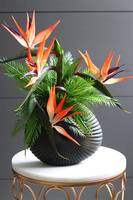 Strelicja Dekina, egzotyczna kompozycja w wazonie