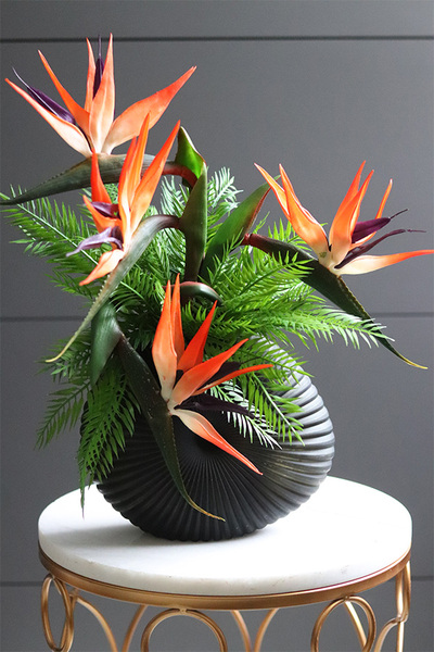 Strelicja Dekina, egzotyczna kompozycja w wazonie