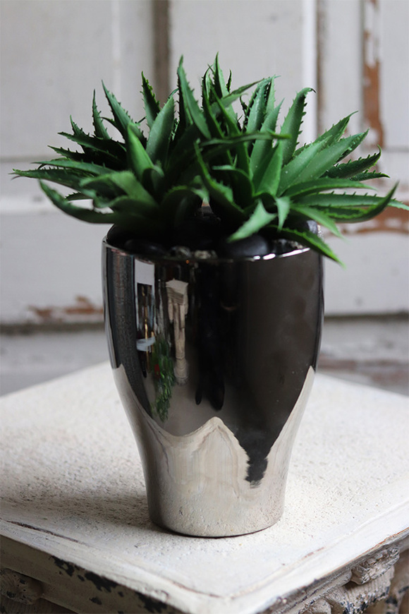 Gerda Aloes, sukulenty w srebrnej donicy, wym.27x24cm