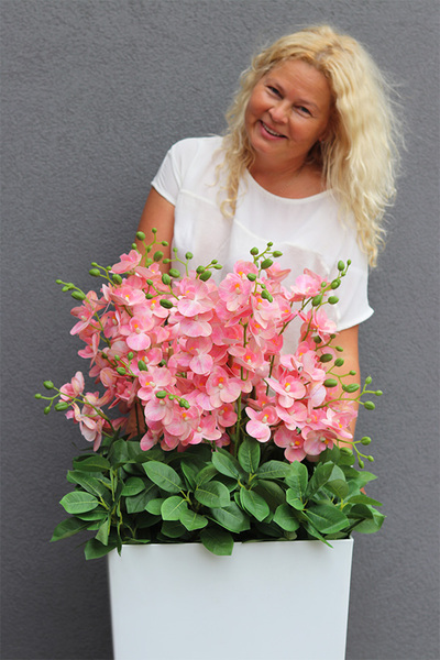 Pinke Mediolan, gumowy storczyk podłogowy w donicy