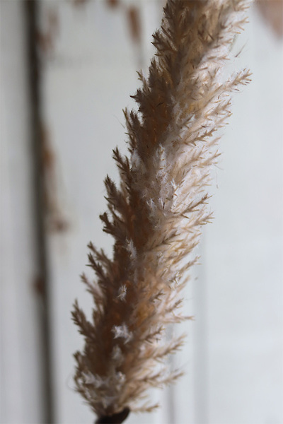 Boho Canadian, sztuczna trawa z piuropuszem, beżowa, wys.110cm