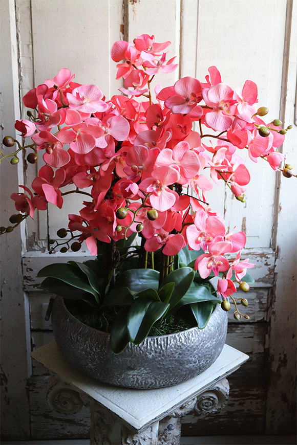 Koralovy, różowy storczyk w metalowej misie, wys.68cm