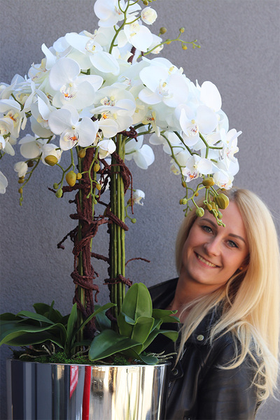 elegancki storczyk podłogowy w srebrnej donicy, Silverio, wys.130cm