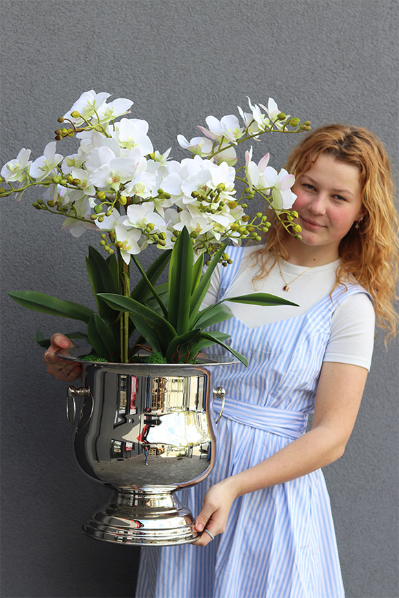 Eveline Elegance Albina, gumowy storczyk w pucharze