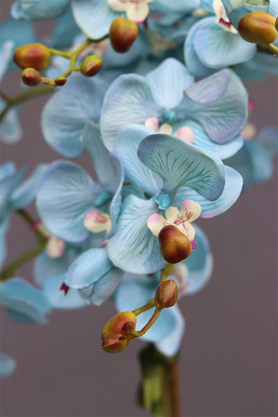 Turkusina Selenia, sztuczny storczyk w białej donicy, wys.65cm