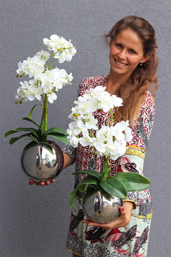 Silveia, sztuczny storczyk w lustrzanej donicy, kpl.2szt