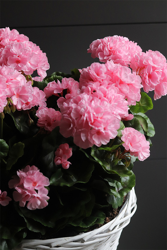 Pink Basket, sztuczne pelargonie w koszu