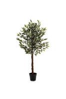  Fikus Benjamin Calico, sztuczna roślina w doniczce,