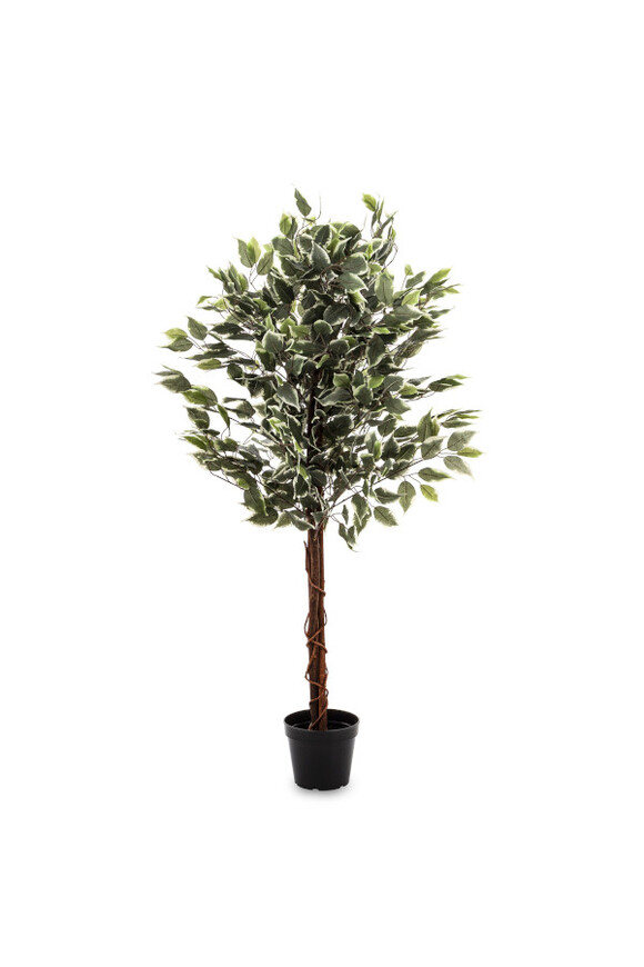  Fikus Benjamin Calico, sztuczna roślina w doniczce,