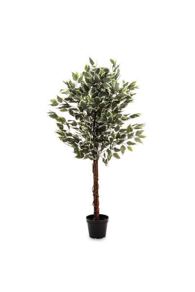  Fikus Benjamin Calico, sztuczna roślina w doniczce,