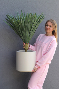 Jukka Figaro L, sztuczna roślina drzewko, wys.95cm