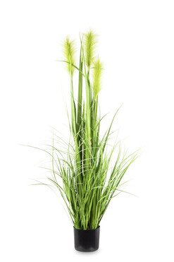 sztuczna trawa Pióropusze, beż, wys.122cm