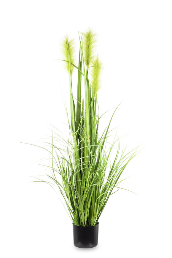 sztuczna trawa Pióropusze, beż, wys.122cm