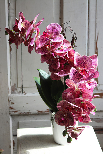 gumowy storczyk Pink Gerona Granada