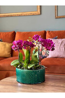 Vintage Orient, osłonka ceramiczna doniczka misa 