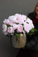 Aura Deluxe, kompozycja z peonii w srebrnej donicy
