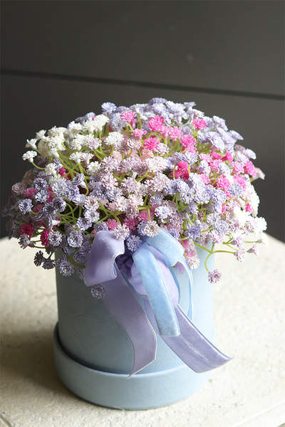 Kaszka Blue, flowerbox kwiatowy welurowy, gipsówka