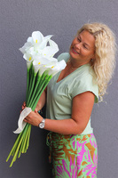 bukiet białych Kalli, 30szt, wys.70cm