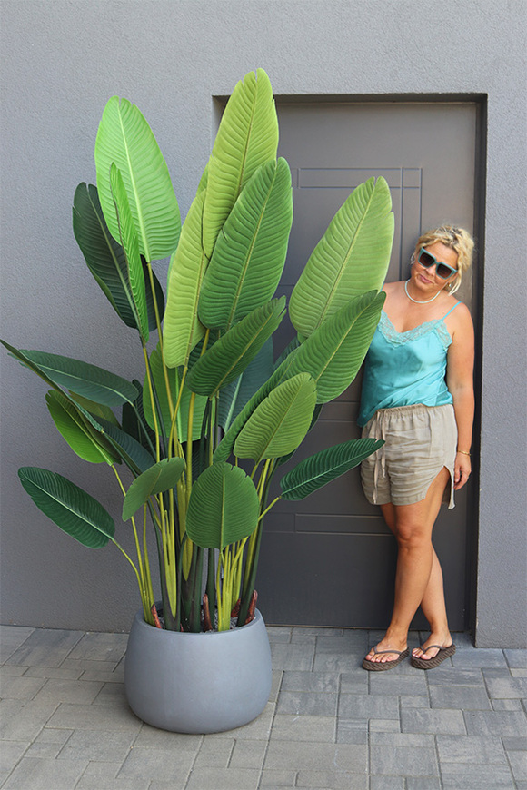 Bananowiec Concrete Bowl 3, sztuczna roślina w donicy	