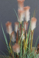 Sawana Saute, sztuczna trawa do twojej donicy