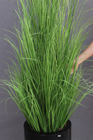 Fiberglass Black, trawa w czarnej donicy fiberglass