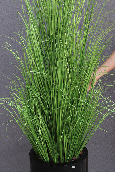 Fiberglass Black, trawa w czarnej donicy fiberglass