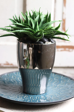 Gerda Aloes, sukulenty w srebrnej donicy, wym.27x24cm