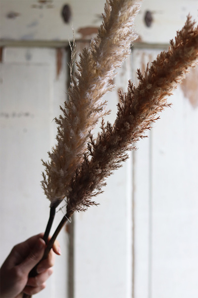 Boho Canadian, sztuczna trawa z piuropuszem, brązowa, wys.110cm