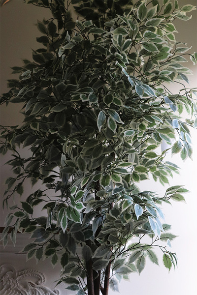 Fikus Benjamin K Gold Line, sztuczna roślina w złotej donicy