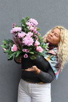 Astry Pink, komplet dekoracji nagrobnych